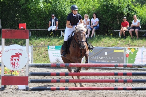 2019-07-05 reitturnier