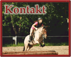 Kontakt