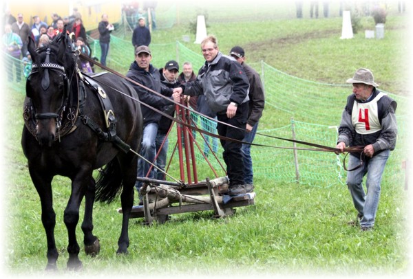 Zugschlitten